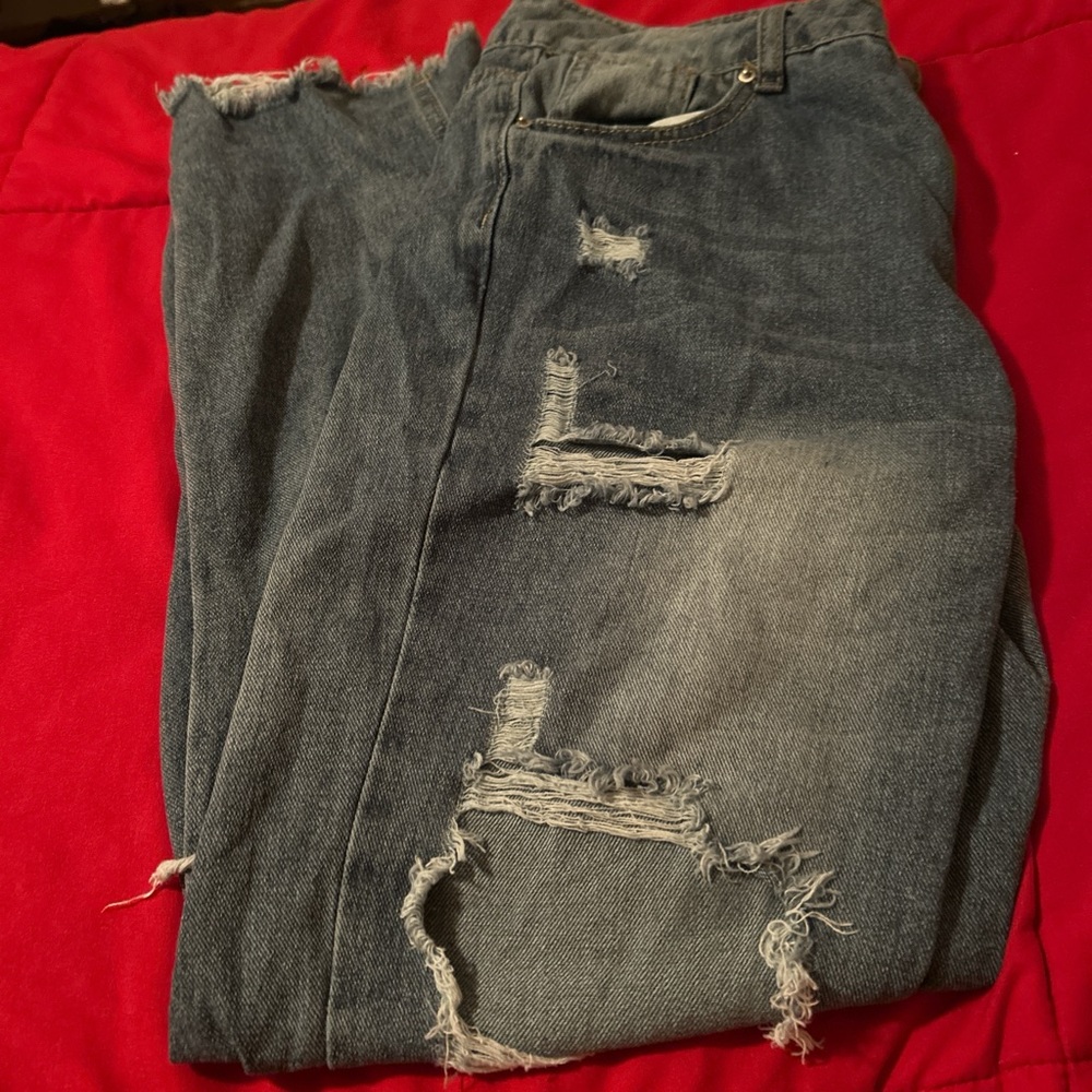 Stylish Distressed Blue Jeans